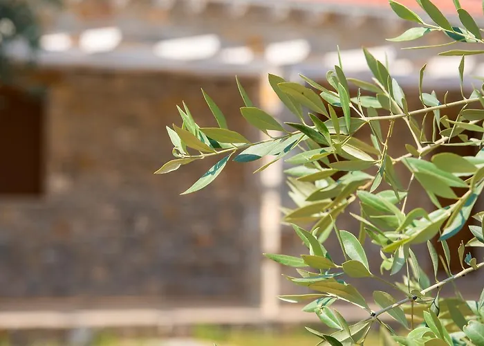 Apartment Olive Land Limenaria (Thasos)