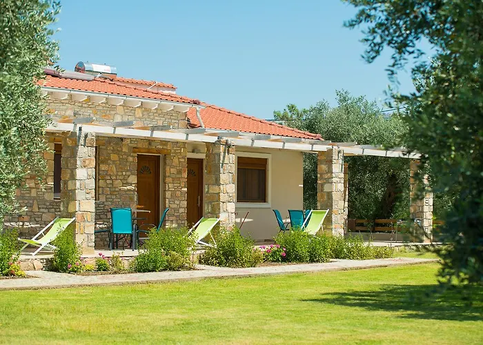 Olive Land Limenaria (Thasos)