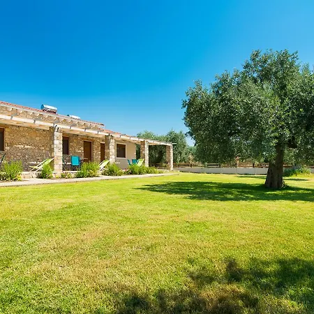 Olive Land Lejlighed Limenaria (Thasos)